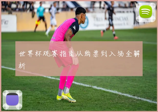 世界杯观赛指南从购票到入场全解析