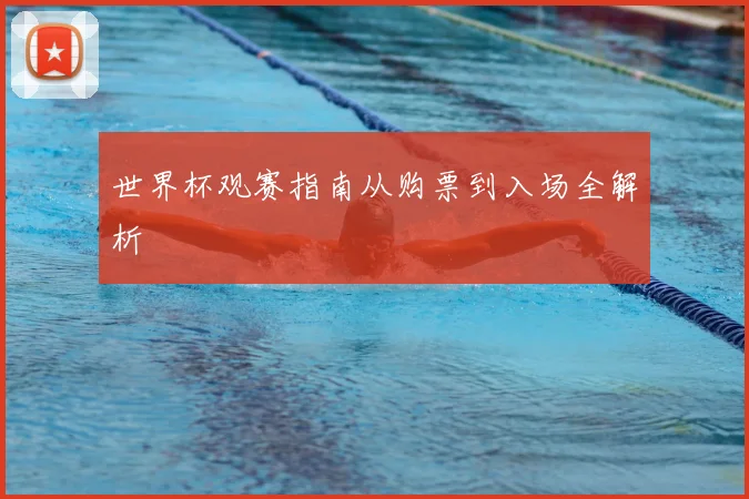世界杯观赛指南从购票到入场全解析