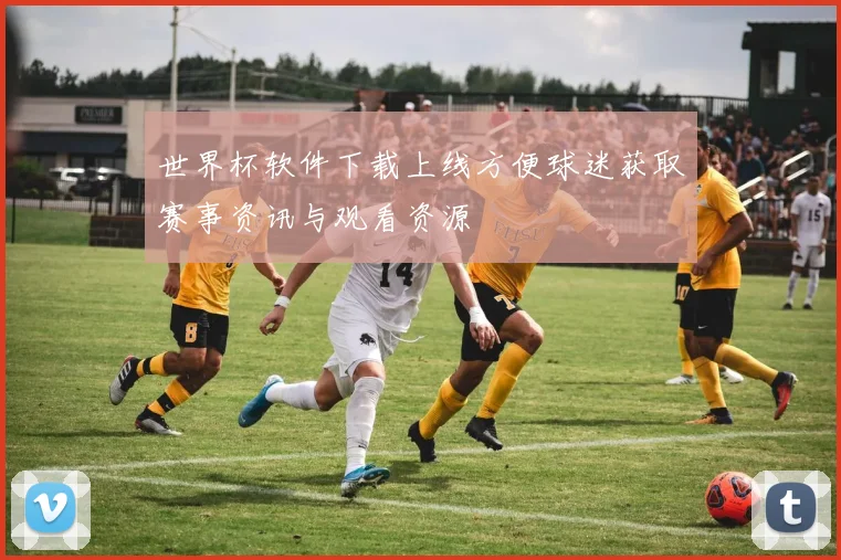 世界杯软件下载上线方便球迷获取赛事资讯与观看资源