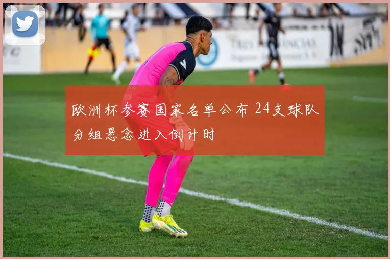 欧洲杯参赛国家名单公布 24支球队分组悬念进入倒计时