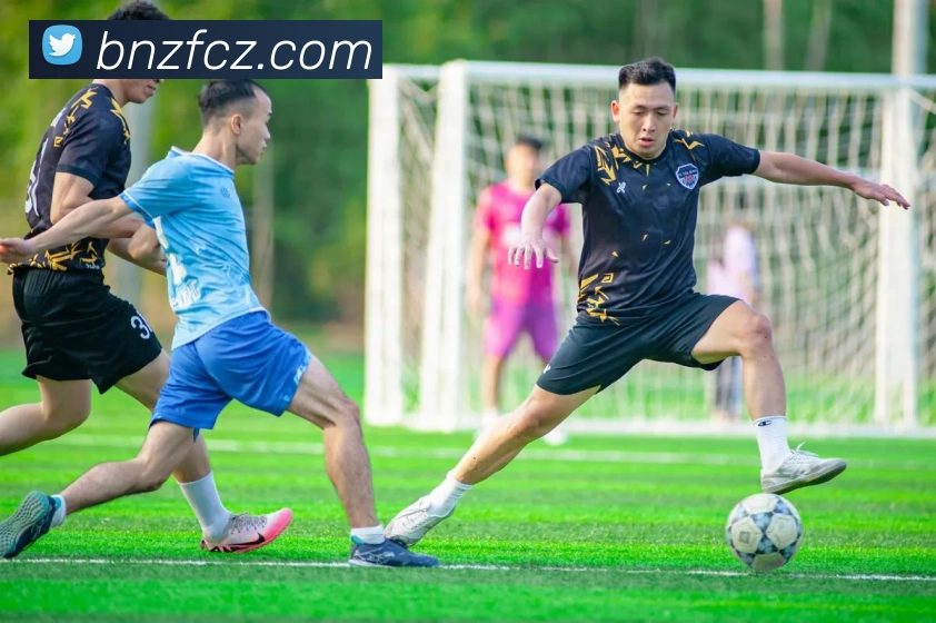 多媒体互动体验